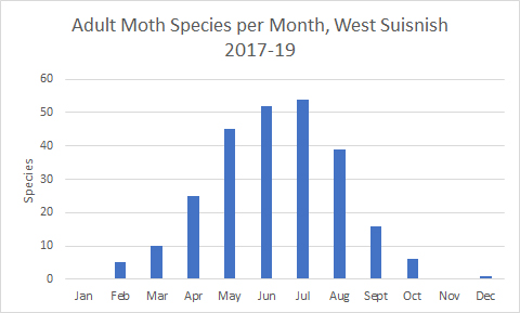 Adult Moths at West Suisnish by Month 2